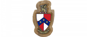 Beta Theta Pi Mini Decal Background