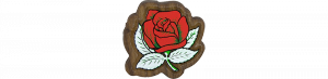 Alpha Omicron Pi (Rose) Mini Decal Background
