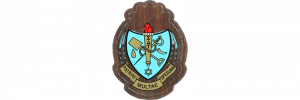 Sigma Delta Tau Mini Crest Background